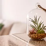 Apartamento Dayely